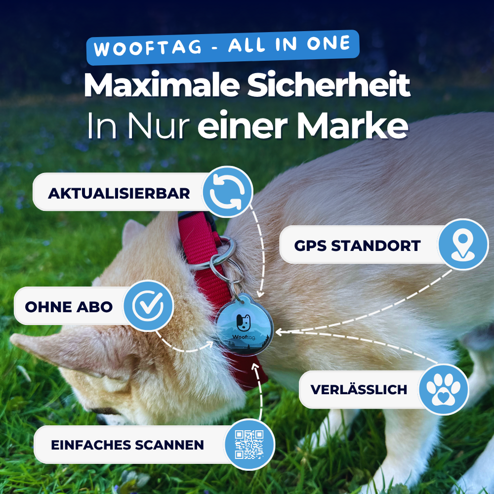 Limitiertes URLAUBS Bundle