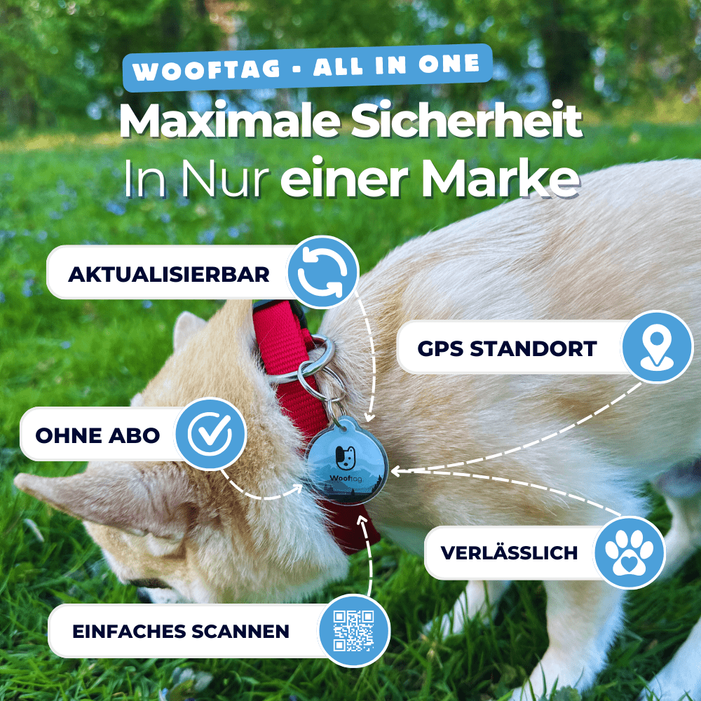 Wooftag - All Black Bundle - Wooftag