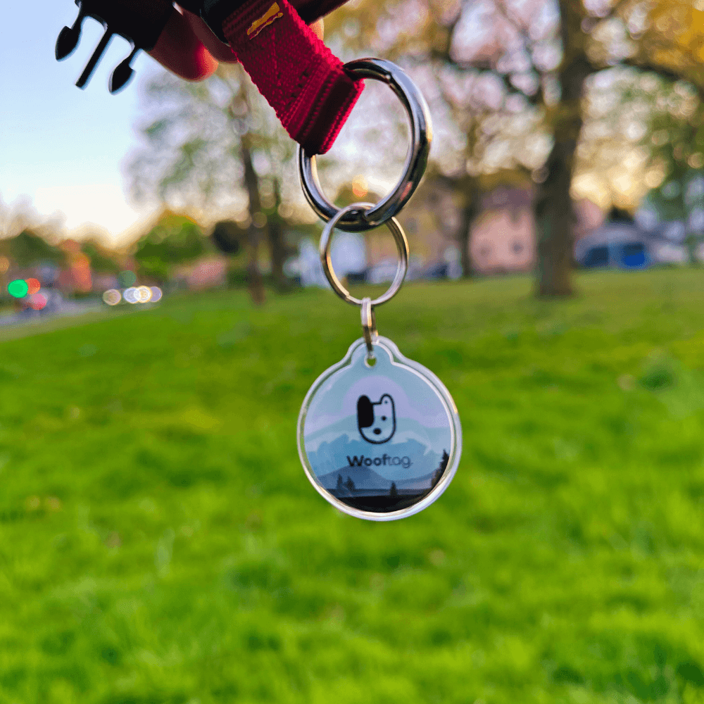 Wooftag - Mint Dog - Wooftag