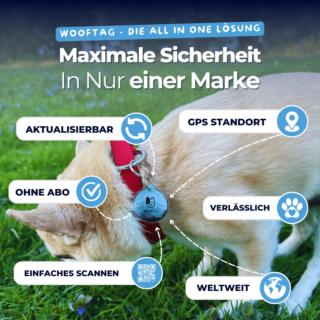 Wooftag Mystic Bundle - für dein Rudel oder zum verschenken. - Wooftag