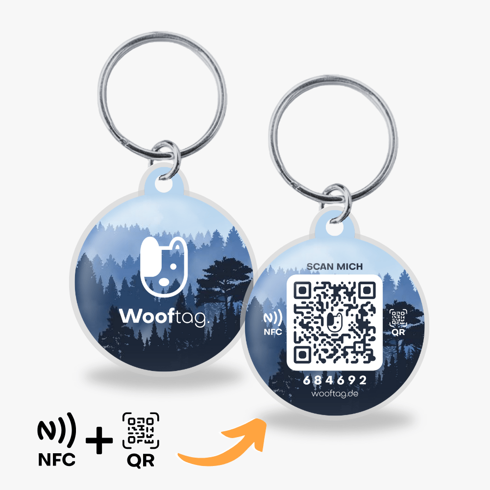 Wooftag - Night Forest - Wooftag
