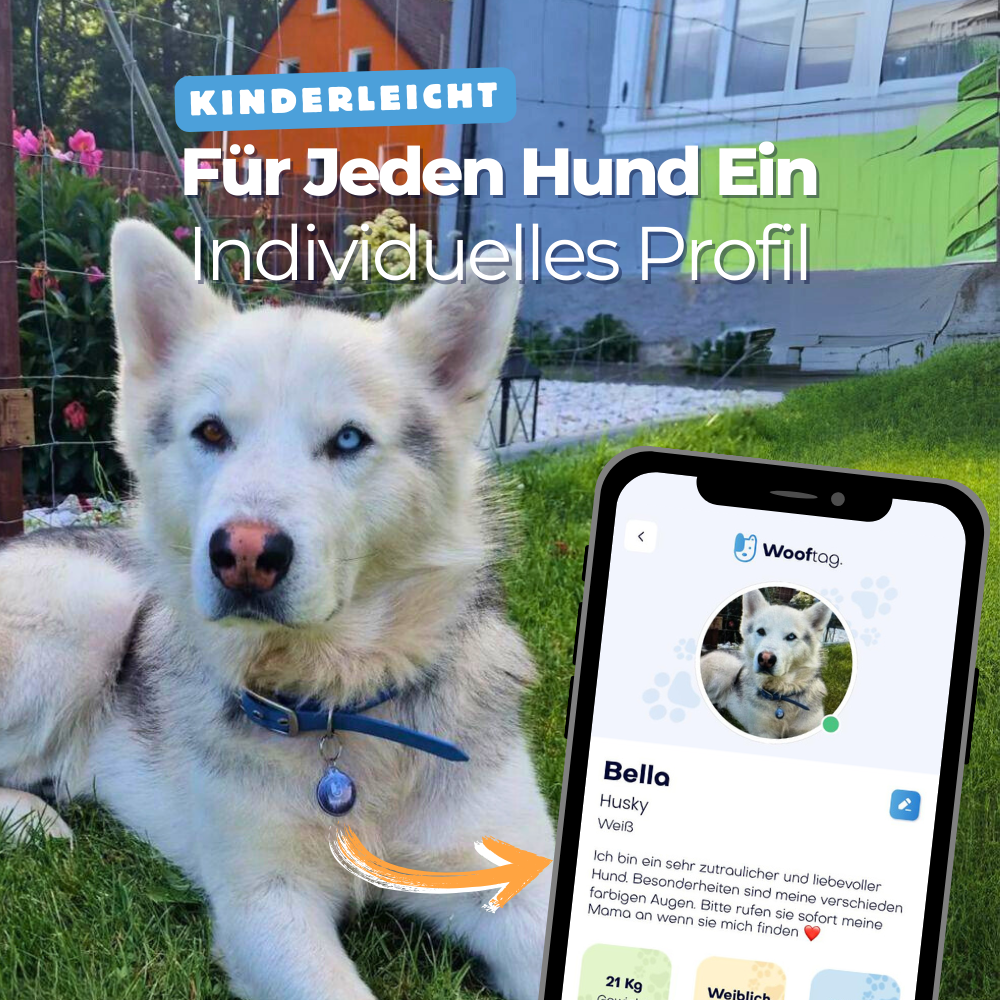 Wooftag Nature Bundle - für dein Rudel oder zum verschenken.