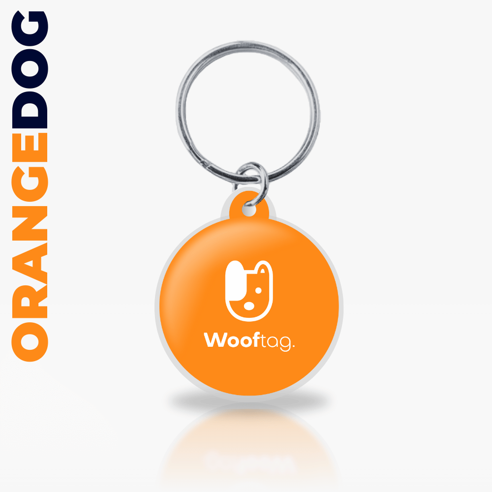 Wooftag - Orange Dog