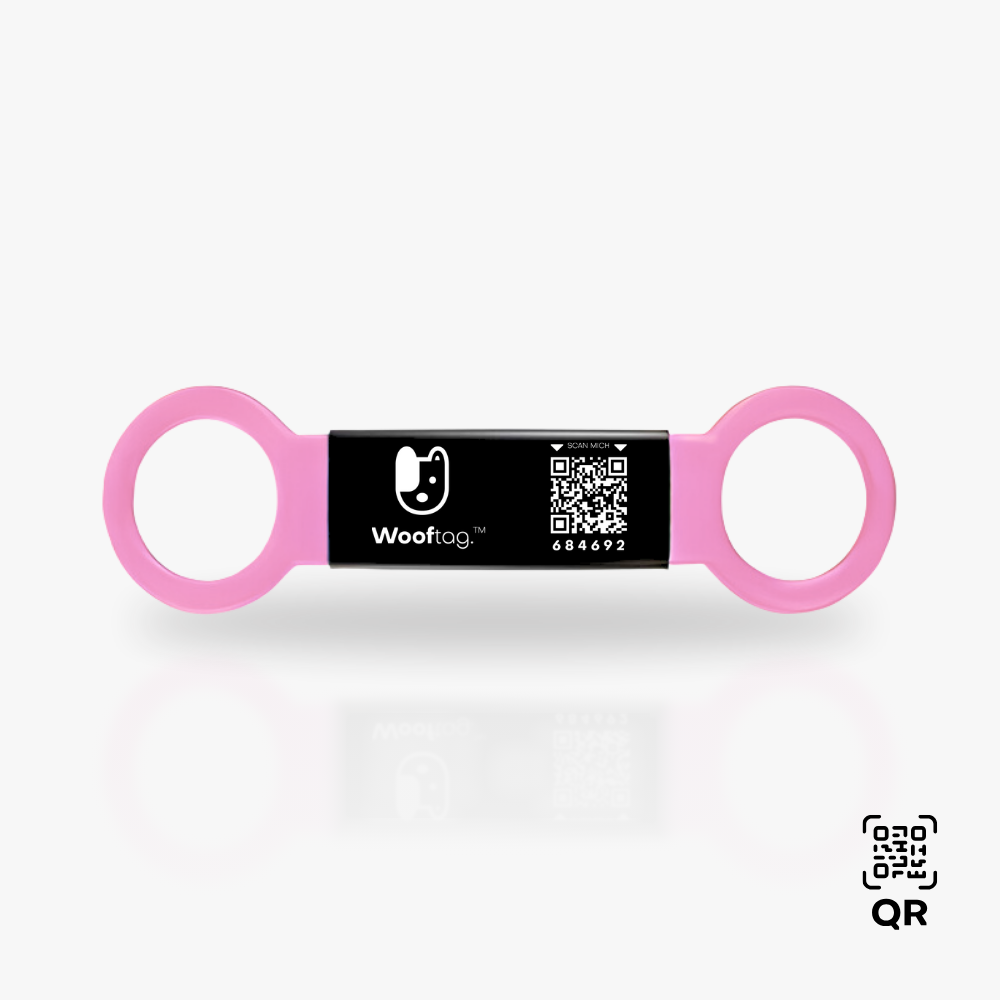 Wooftag - Slide