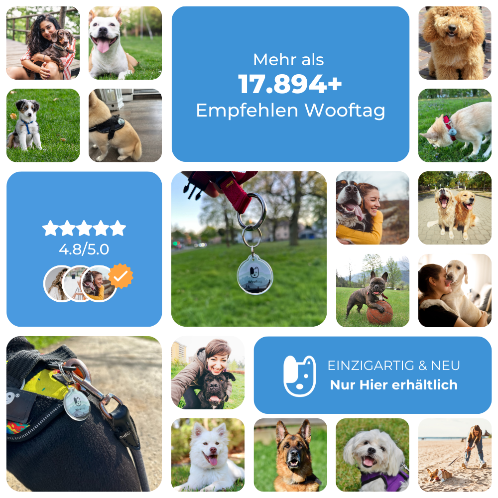 Wooftag Nature Bundle - für dein Rudel oder zum verschenken.
