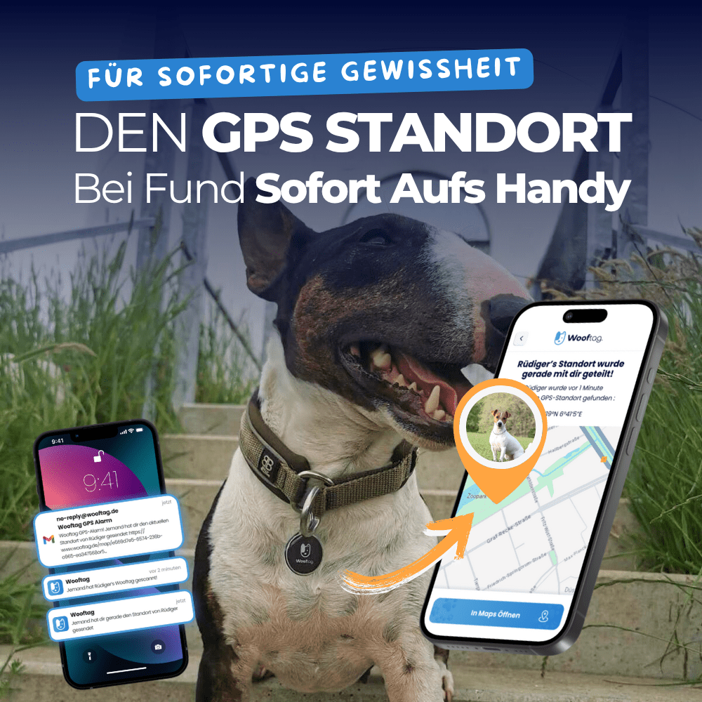 Stelle dir dein Wooftag® Starter - Set selber zusammen - Wooftag