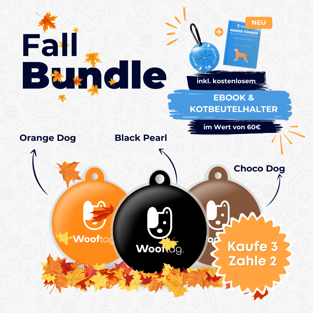 Wooftag Fall Bundle - für dein Rudel oder zum verschenken. - Wooftag
