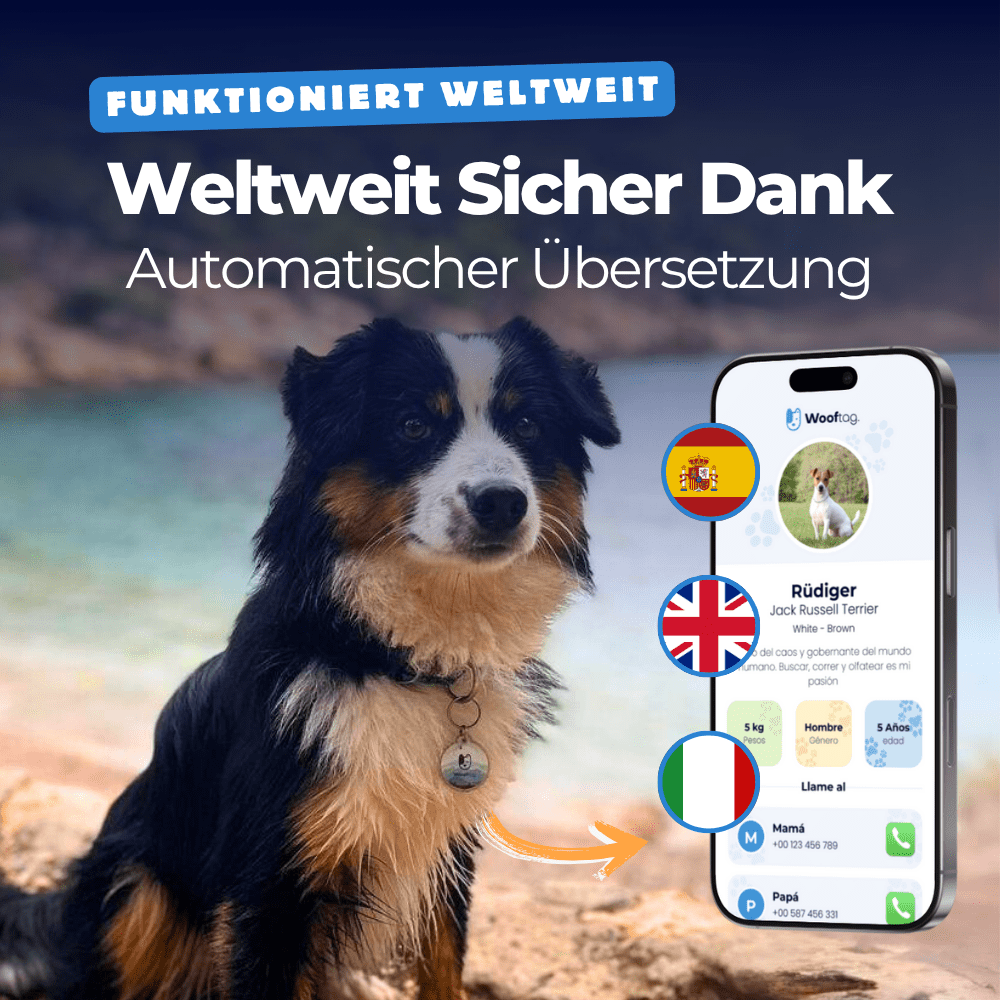 Wooftag™ Limited Starter Bundle - Wooftag