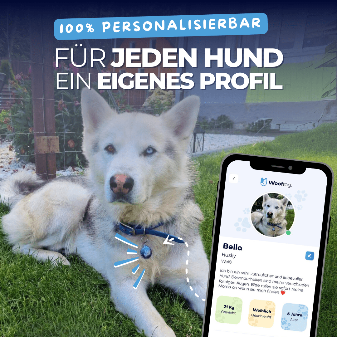 Wooftag Mystic Bundle - für dein Rudel oder zum verschenken. - Wooftag