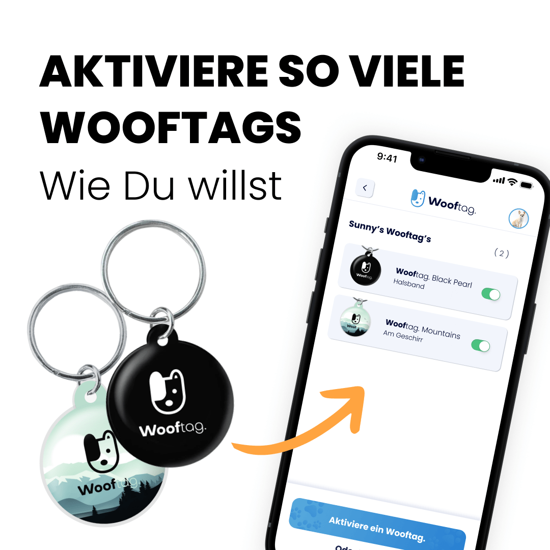 Wooftag - Night Forest - Wooftag
